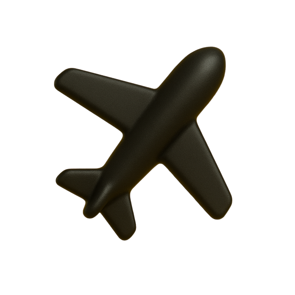 travel icon